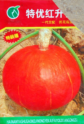 Bao bì giống bí Trung Quốc mà người dân mua về trồng.